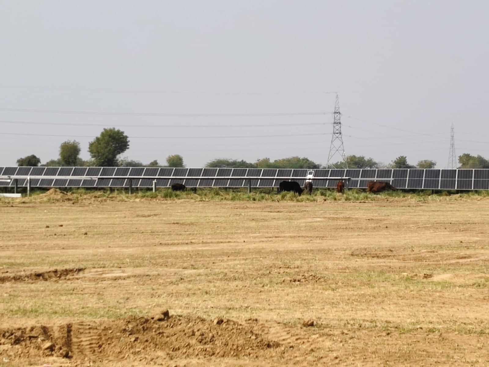 Ground Mount Solar Installation